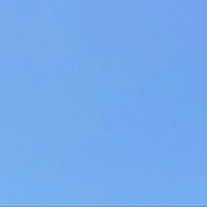 Meet your Posher, Cate